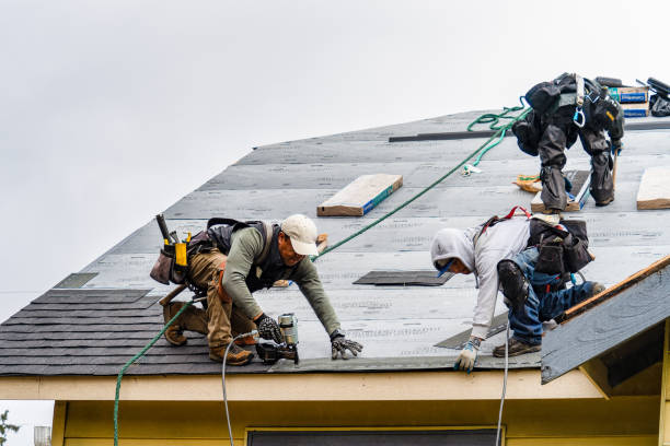 Professional Storm Damage Roof Repair technician working in Lisle, NY
